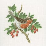 (image for) Robin Birds by David Merry